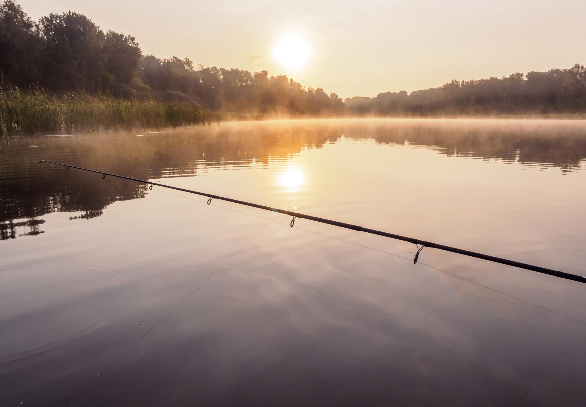 Fishing at Sunset